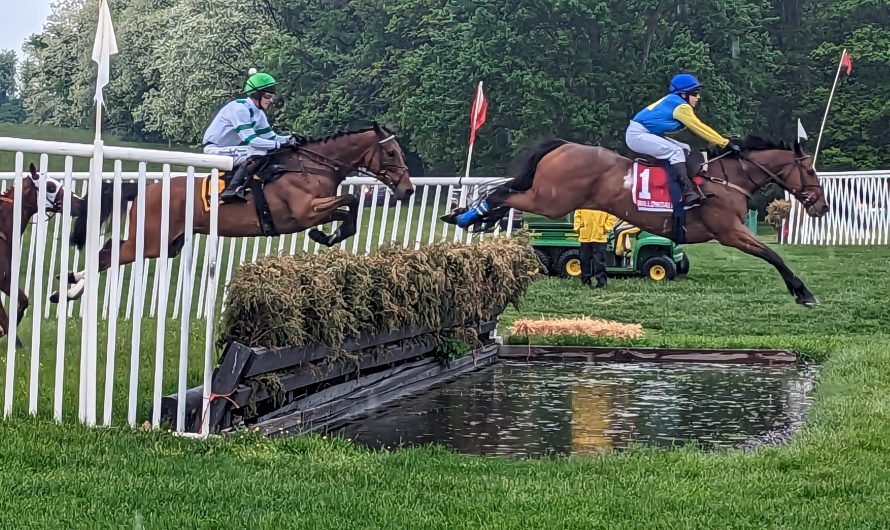 The Willowdale Steeplechase