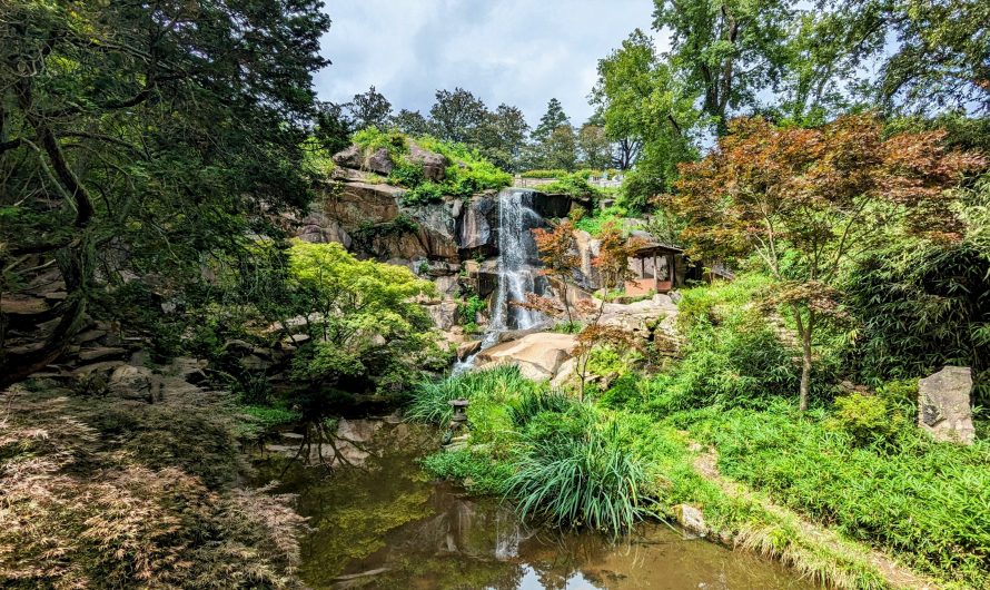 Maymont Mansion and Gardens