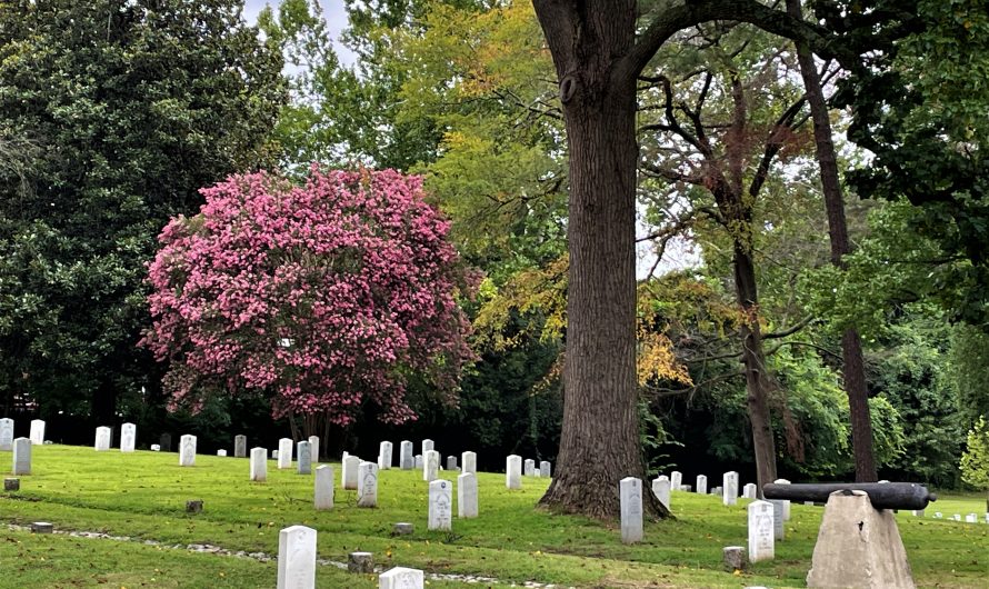 Richmond, Va.’s Hollywood Cemetery