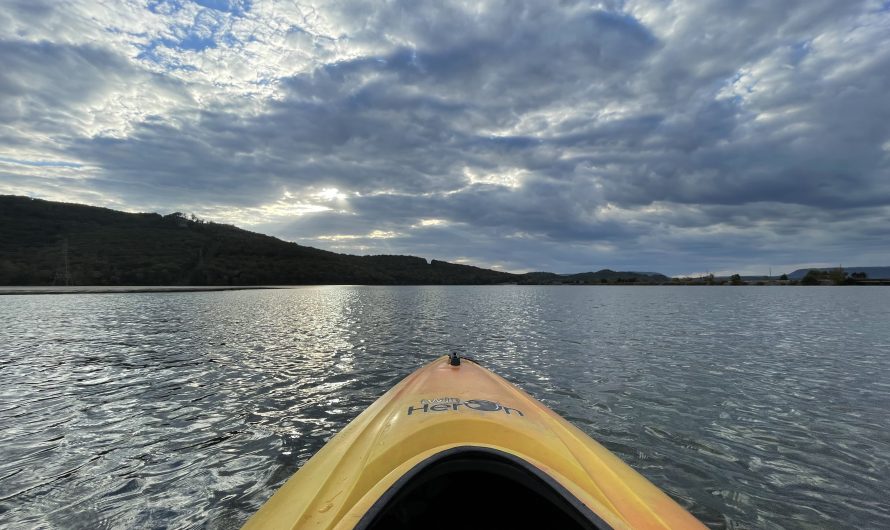 Kayak to Nickajack Bat Cave