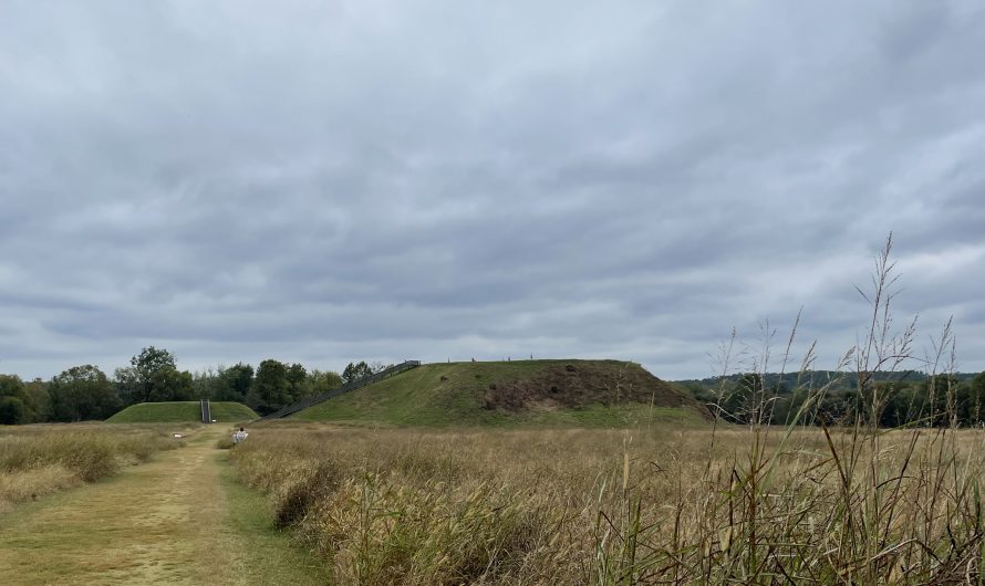 Etowah Mounds State Historic Site