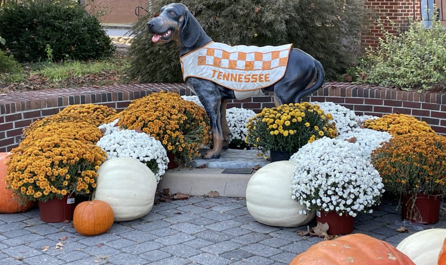 University of Tennessee Gardens, Knoxville