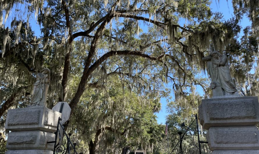 The Historic Bonaventure Cemetery