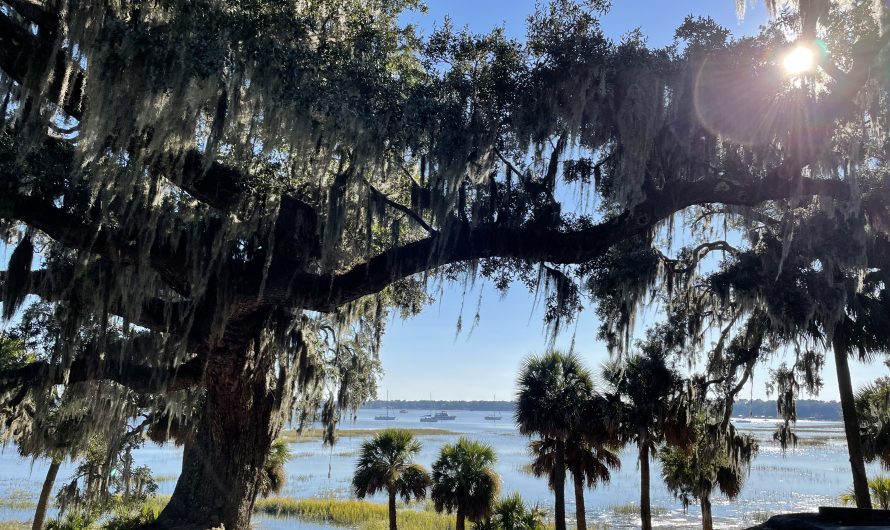 Scenes from Beaufort, South Carolina