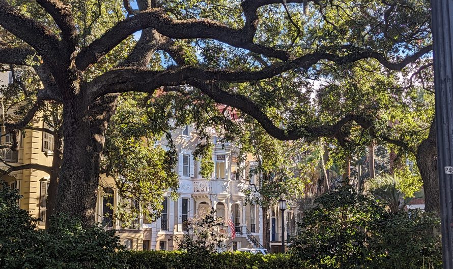 A Few Days in Savannah, Georgia