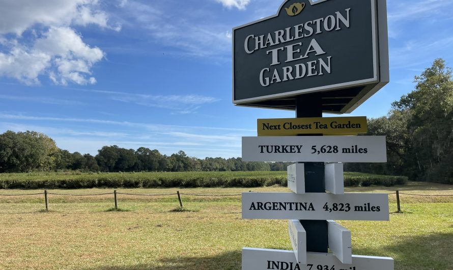 Charleston Tea Garden