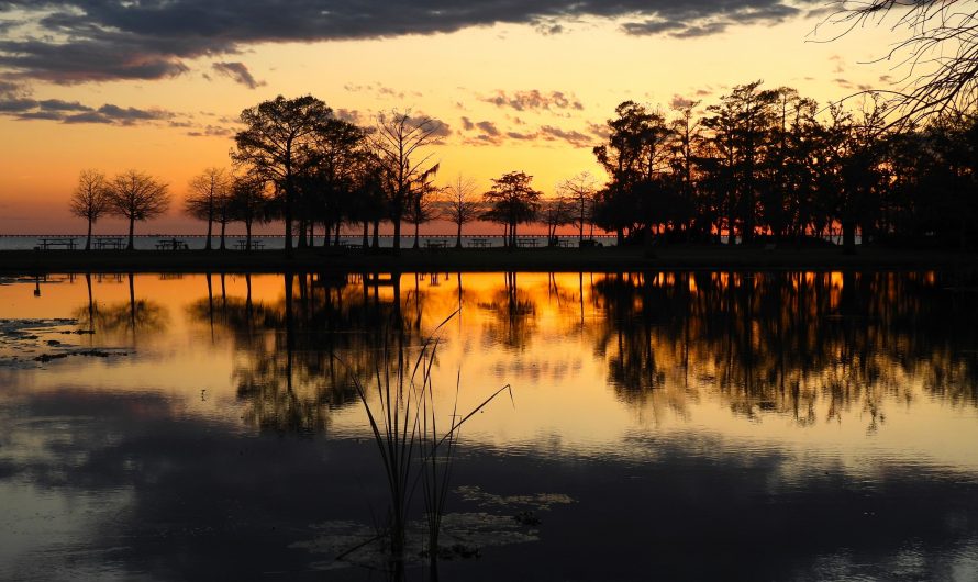 Scenes from the Coast of Louisiana