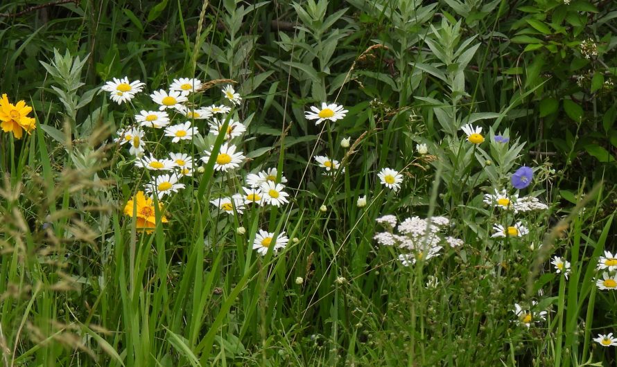 Scenes from Northeast South Dakota