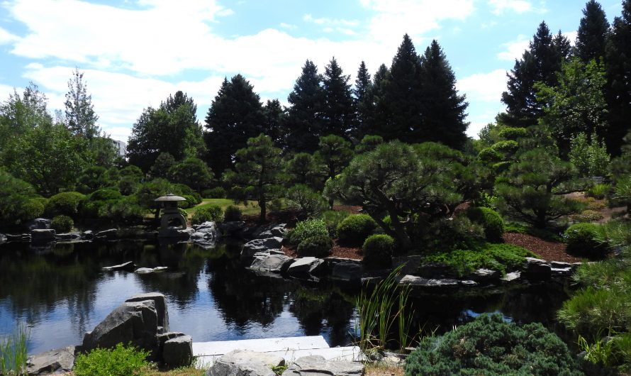 Denver Botanic Gardens – Part II