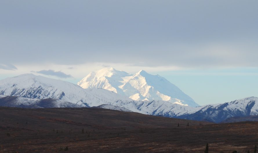 Denali National Park and Preserve