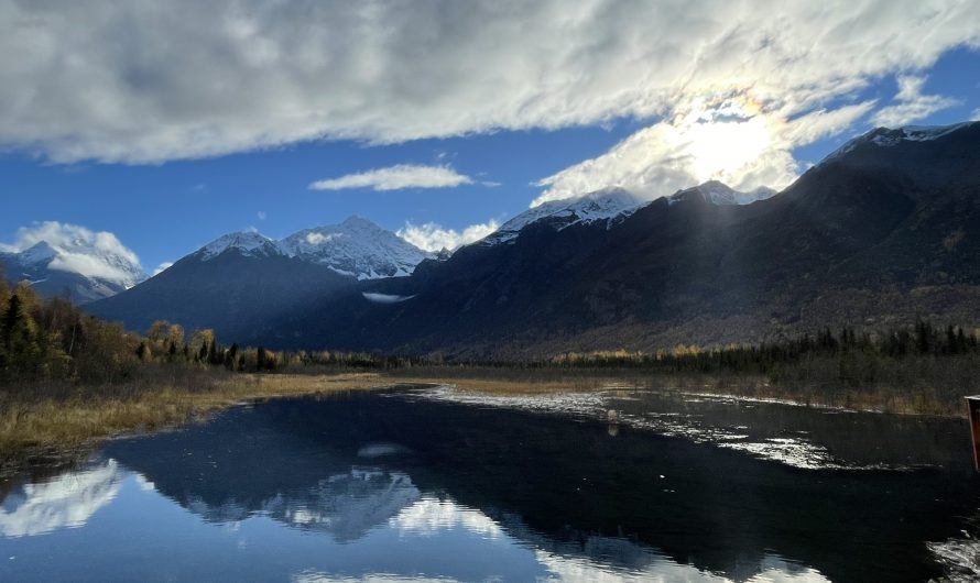 On the Road to Denali