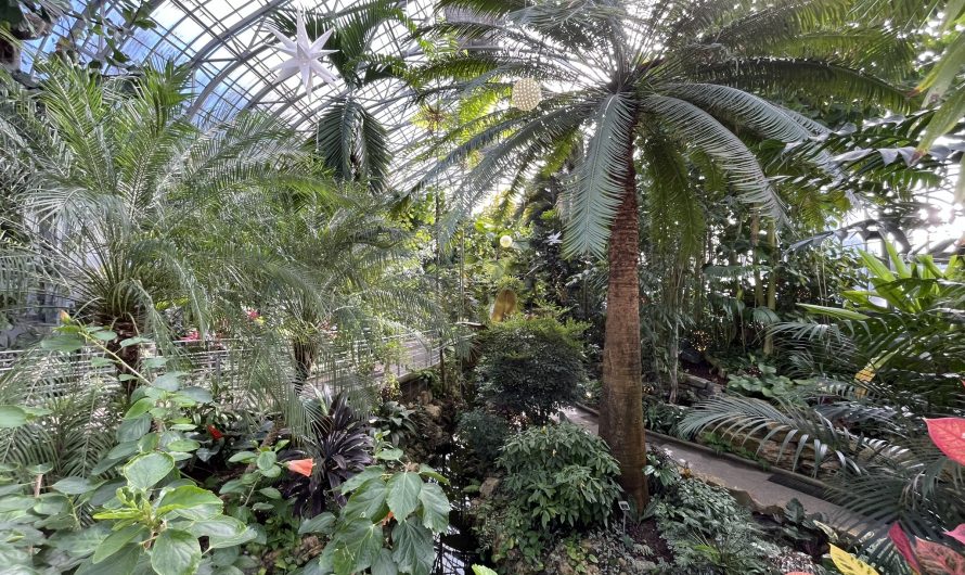 Krohn Conservatory and Eden Park