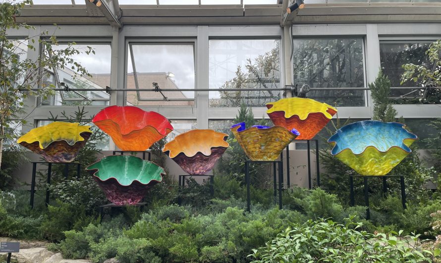 Dale Chihuly at the Franklin Park Conservatory